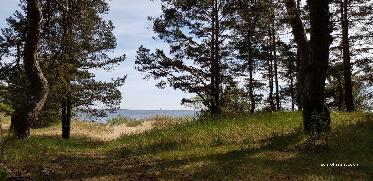 (41008) Kauksi - Jõhvi–Tartu–Valga — foto 2