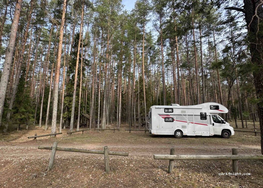 (41008) Kauksi - Jõhvi–Tartu–Valga — foto 5