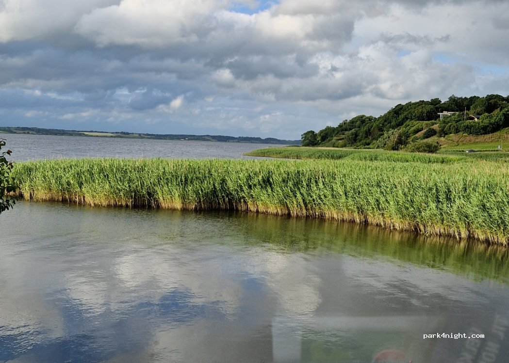 (8831) Løgstrup - 1C Strandvejen — foto 4
