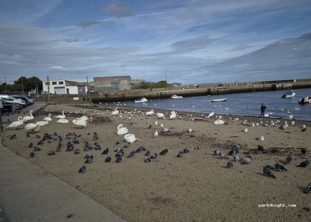 (A98 C5D0) Bray - Harbour Road — foto 4