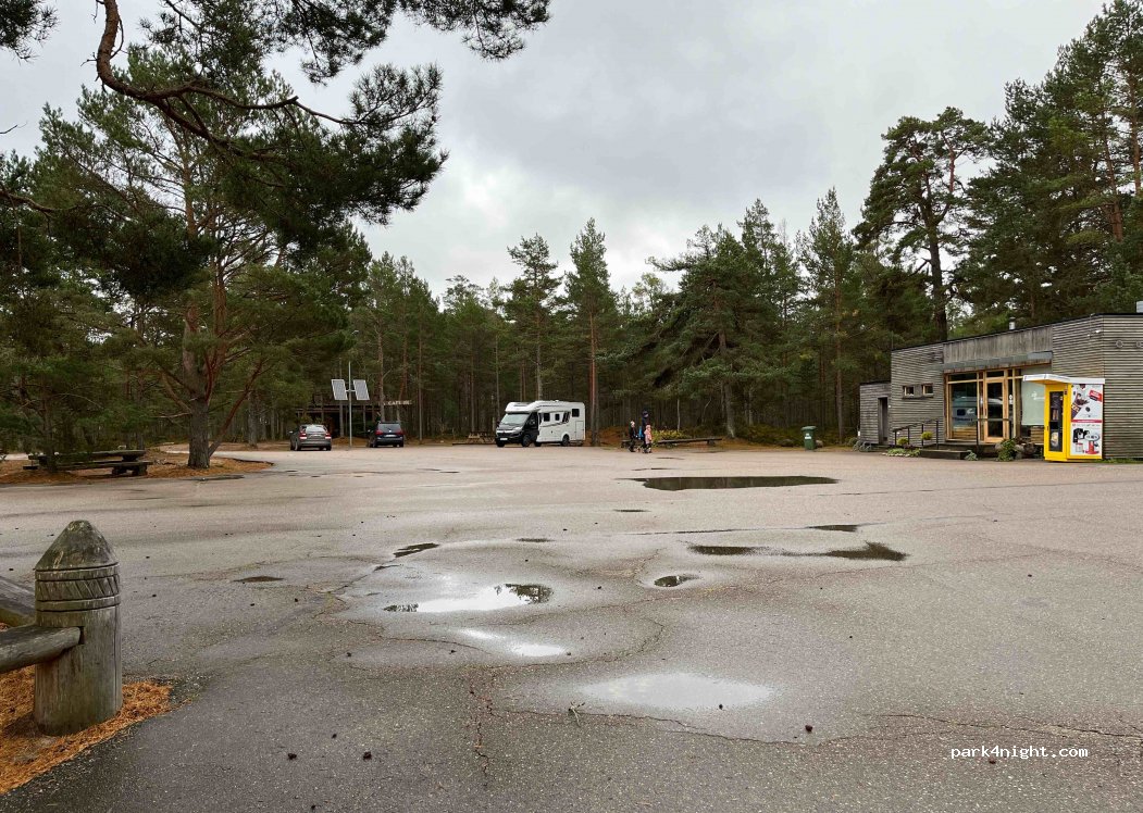 (3275) Kolka - Unnamed Road — foto 3