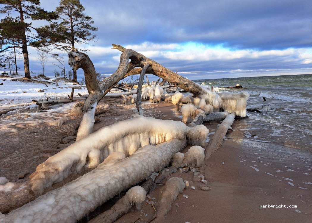 (3275) Kolka - Unnamed Road — foto 5
