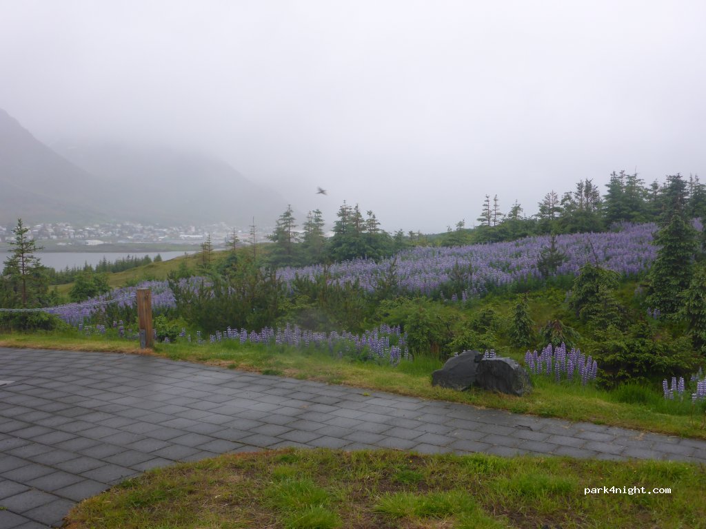 ()  - Siglufjarðarvegur — foto