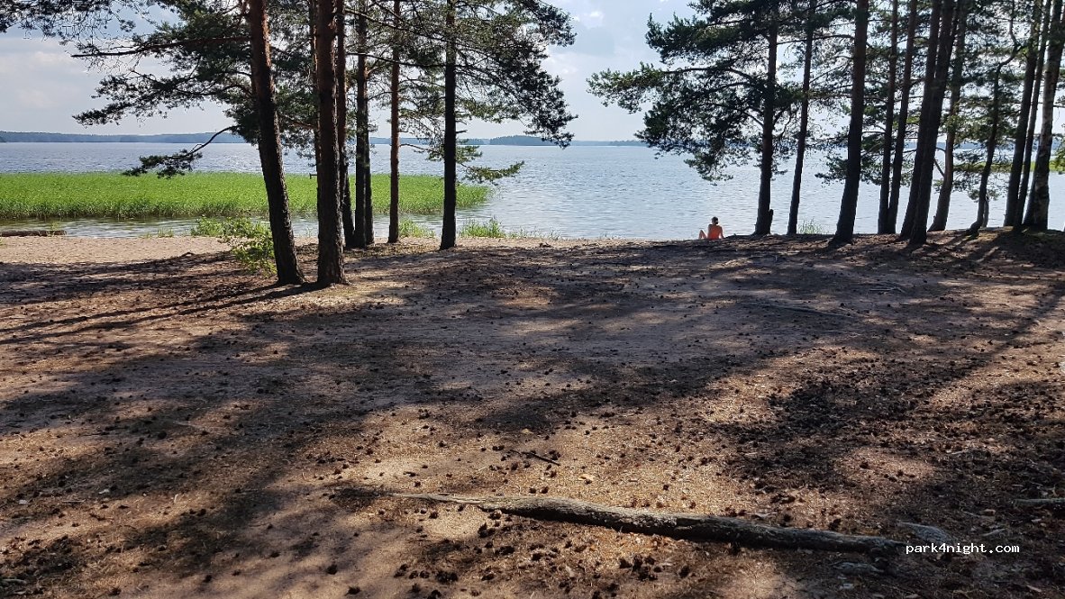 (54960) Taipalsaari - 441 Päihänniementie — foto 3