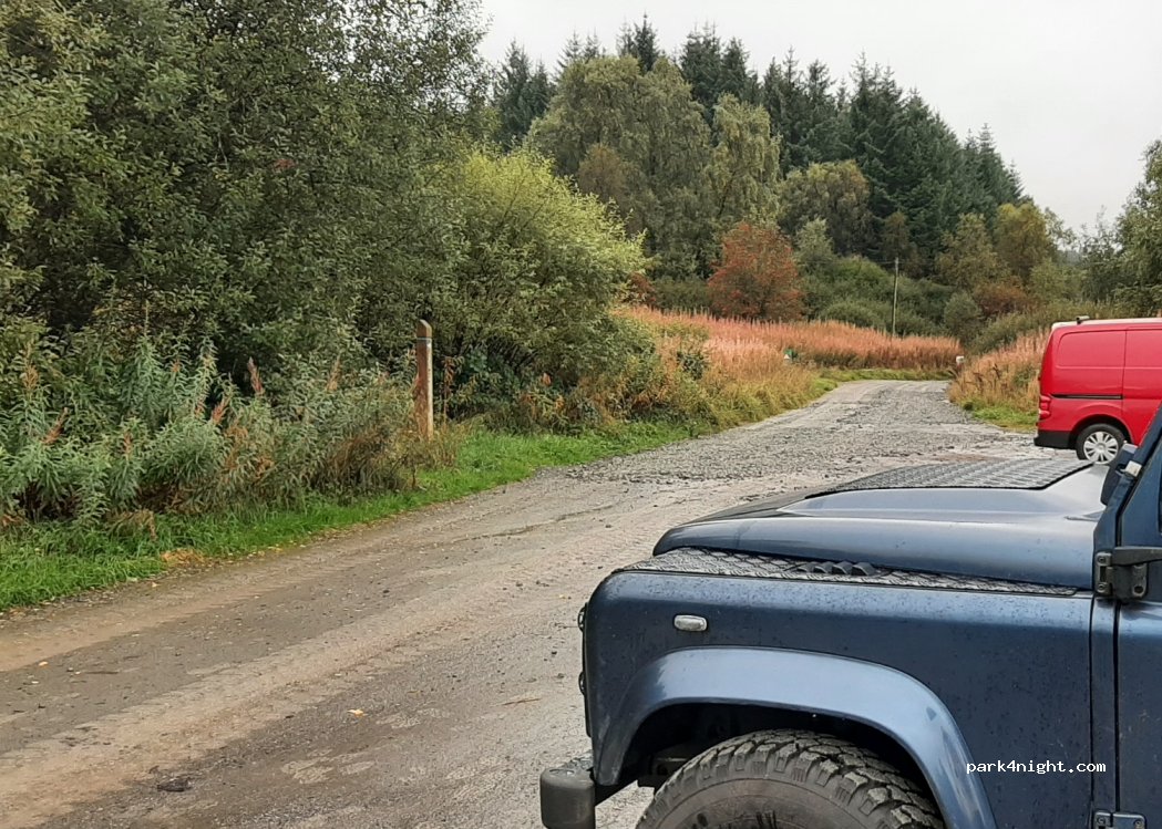 (G63 0QZ) Stirling - Forestry Road — foto 4