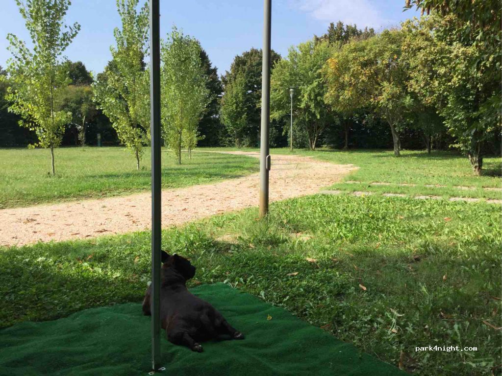 The Colombara Camp & Lodge — foto 2