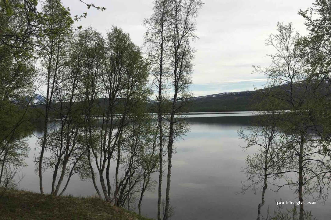 (9310)  - 28 Primær Fylkesveg 86 — foto 3