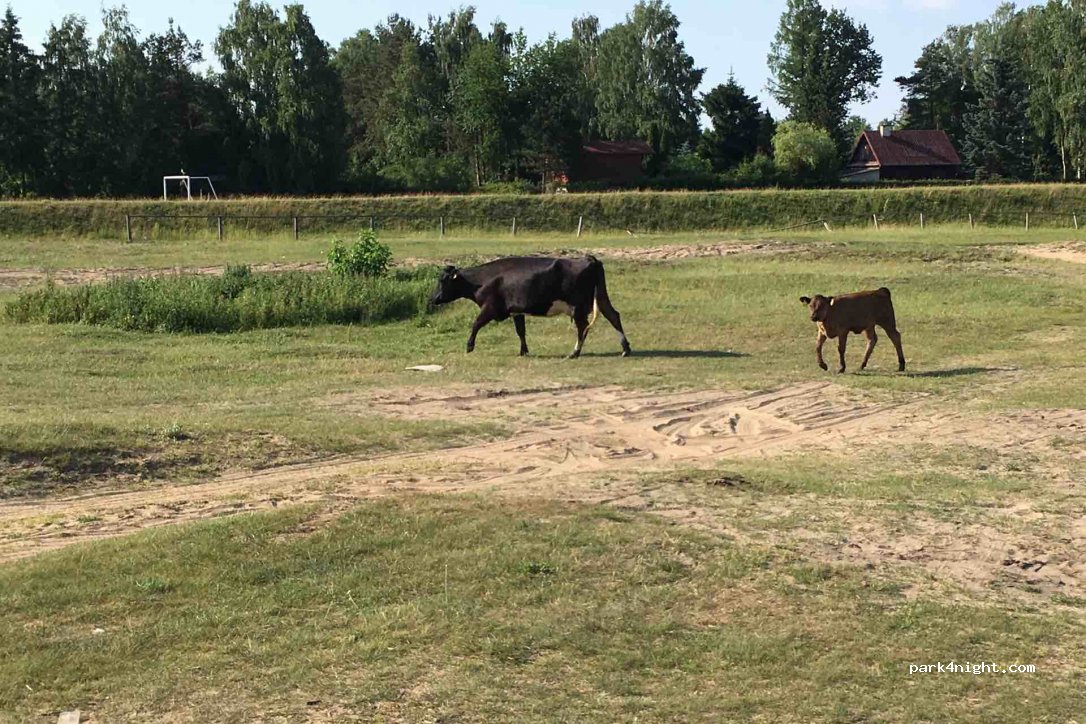 (05-254) Kuligów - 37 Nadbużańska — foto