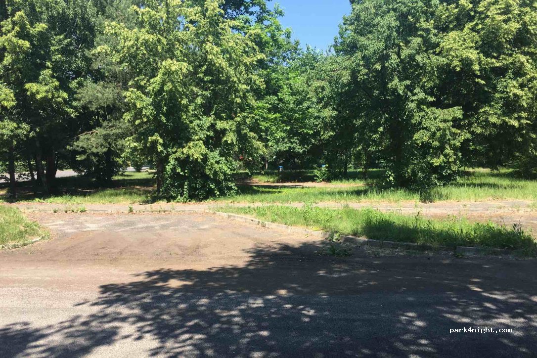(08-470) Wilga - Droga Wojewódzka 801 — foto 2