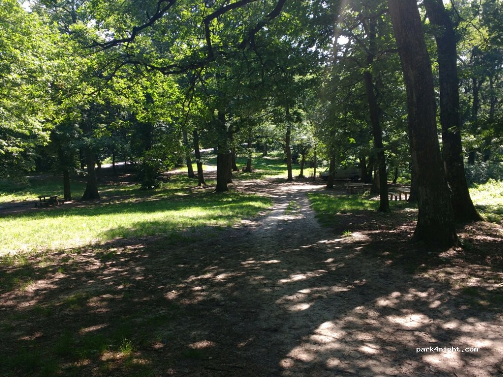 ()  - Fruska Gora — foto