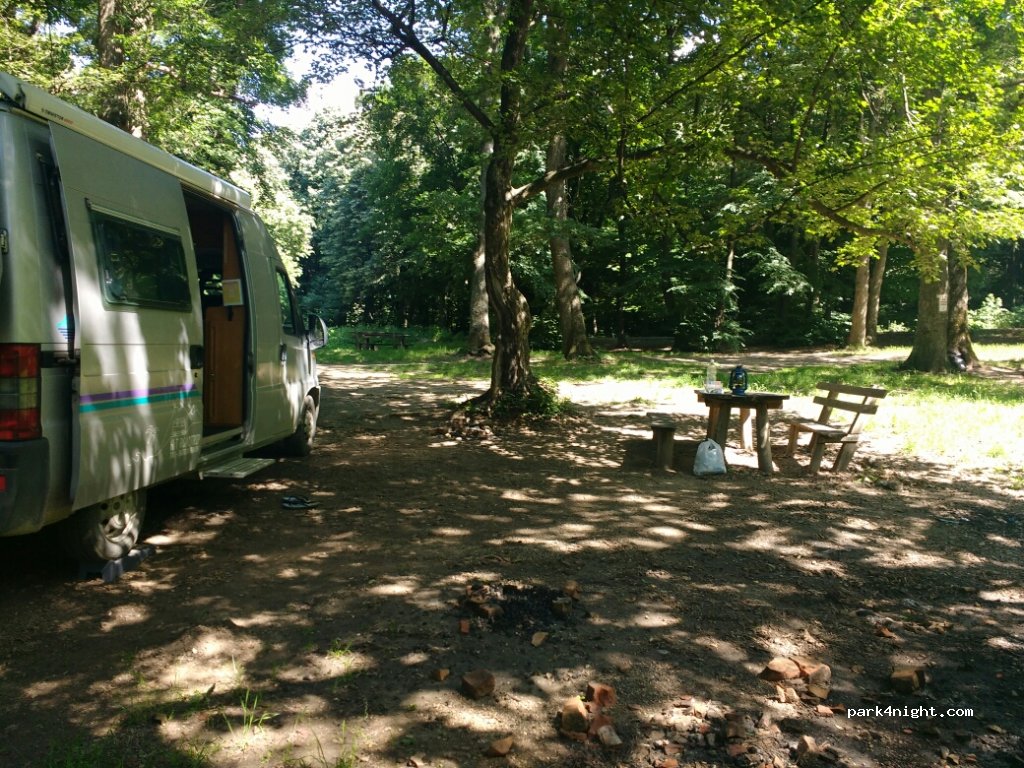 ()  - Fruska Gora — foto 2