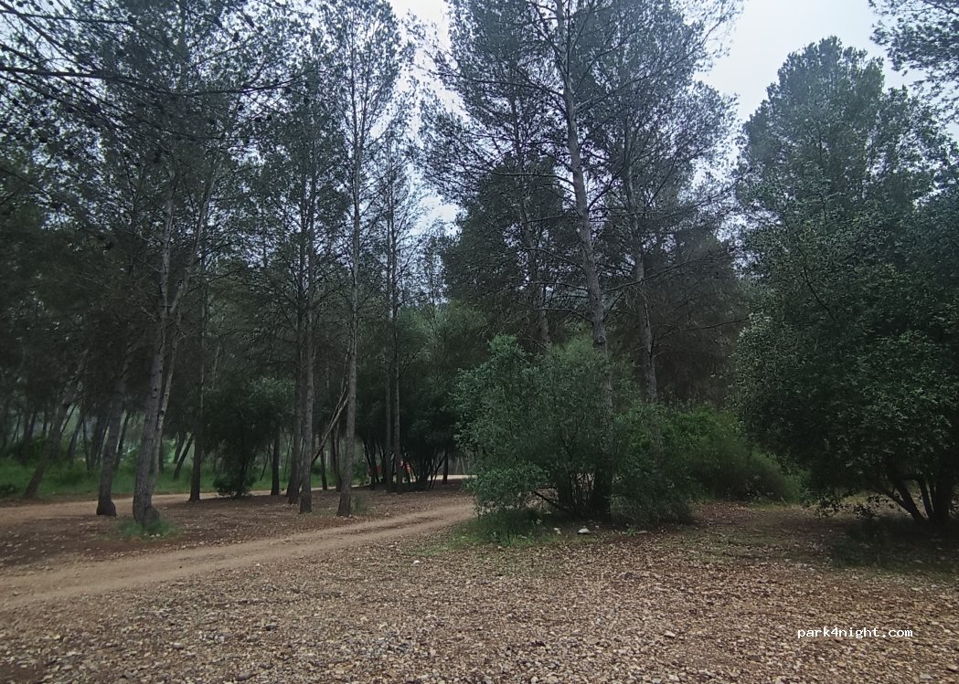 (46894) Genovés - 47E Diseminado Poligono 8 — foto 5