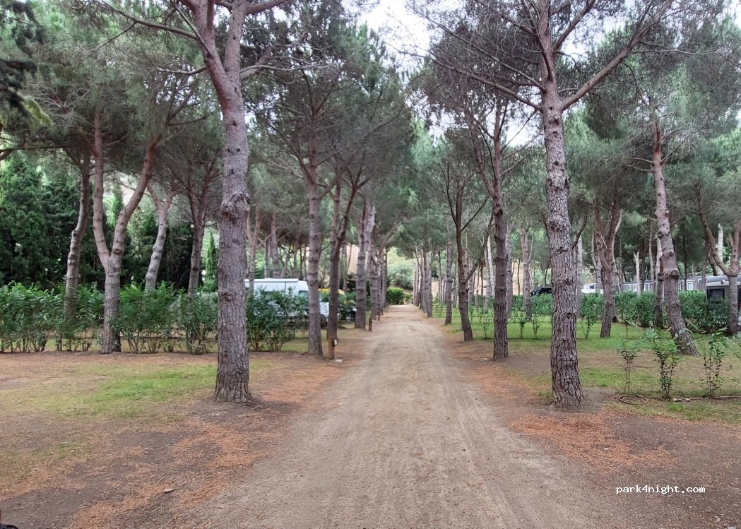 Camping  Sant Miquel — foto 2