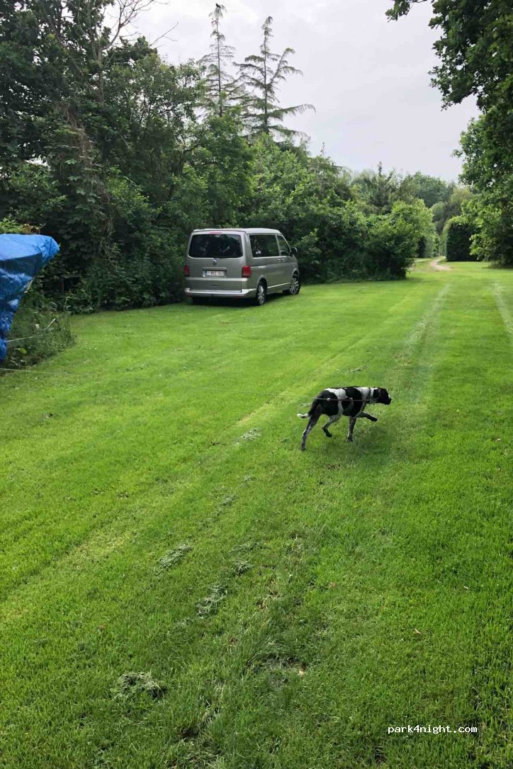 Camping Tentebosch — foto 2