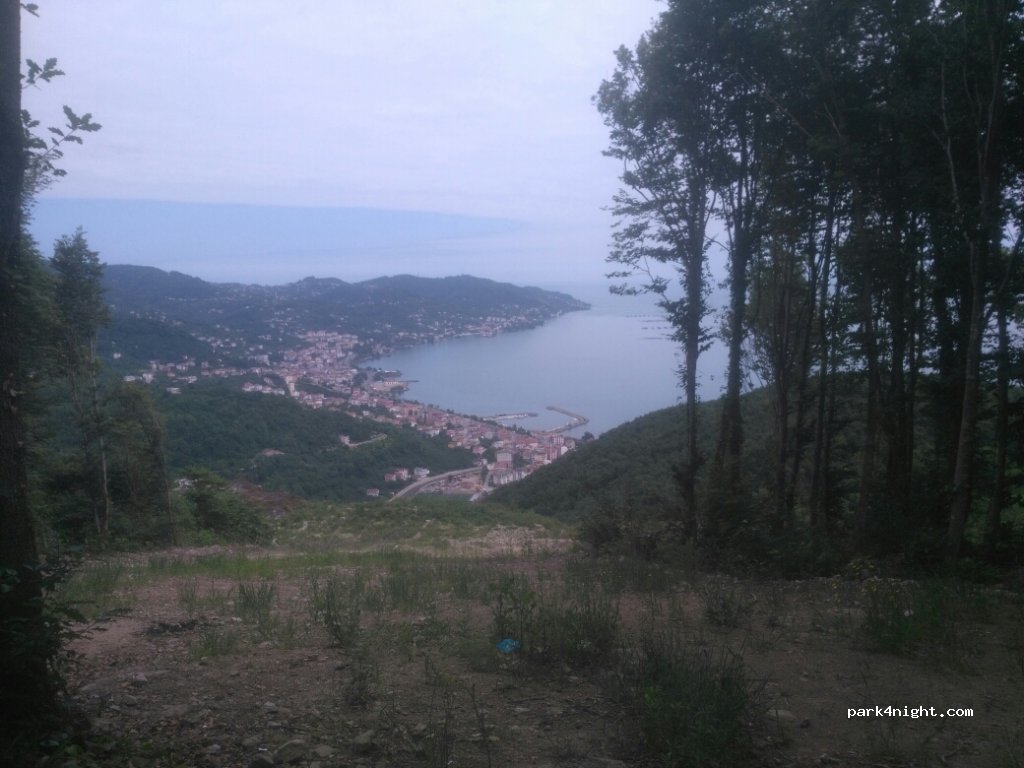 (52750) Perşembe - Alınca Köyü Yolu — foto 2