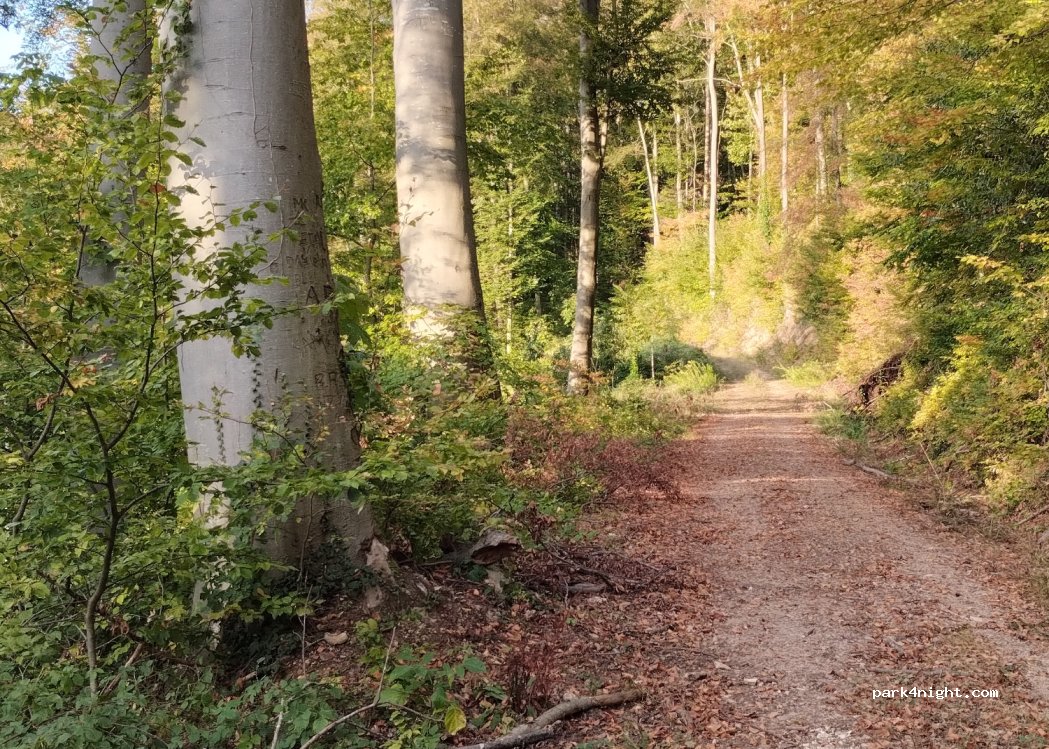 (79410) Badenweiler - 20 Schwärzestraße — foto 4