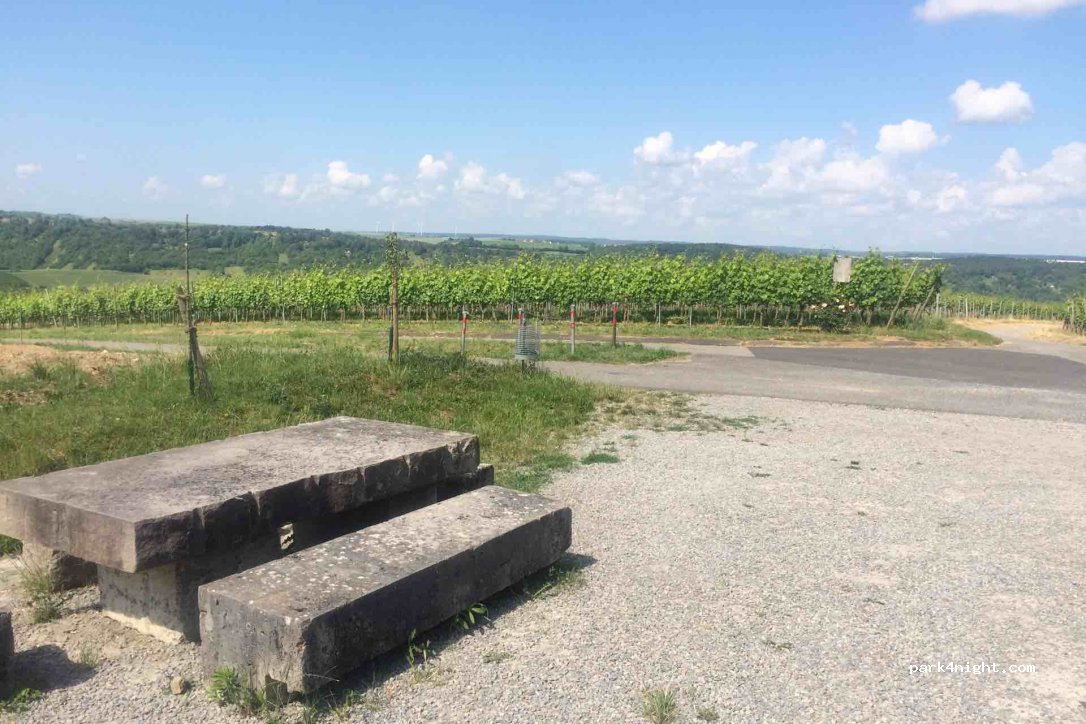 (97246) Eibelstadt - Unnamed Road — foto