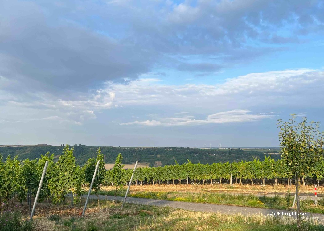 (97246) Eibelstadt - Unnamed Road — foto 2