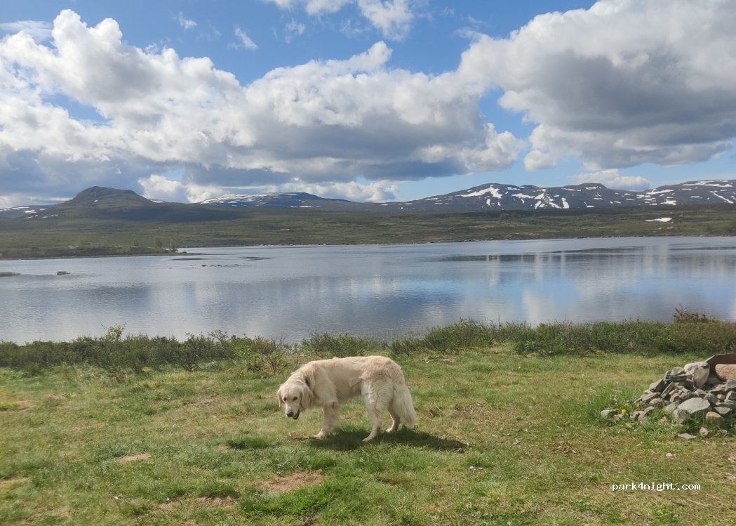 (2953)  - Jotunheimvegen — foto 4