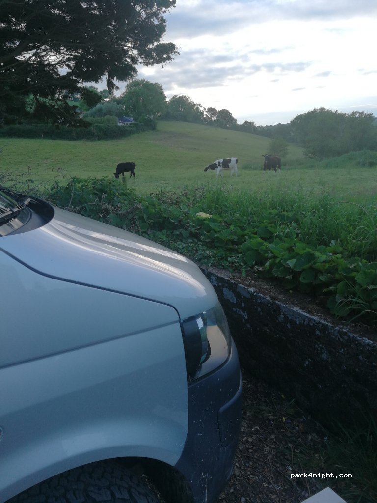 () Kilmichael East - Coast Rd — foto