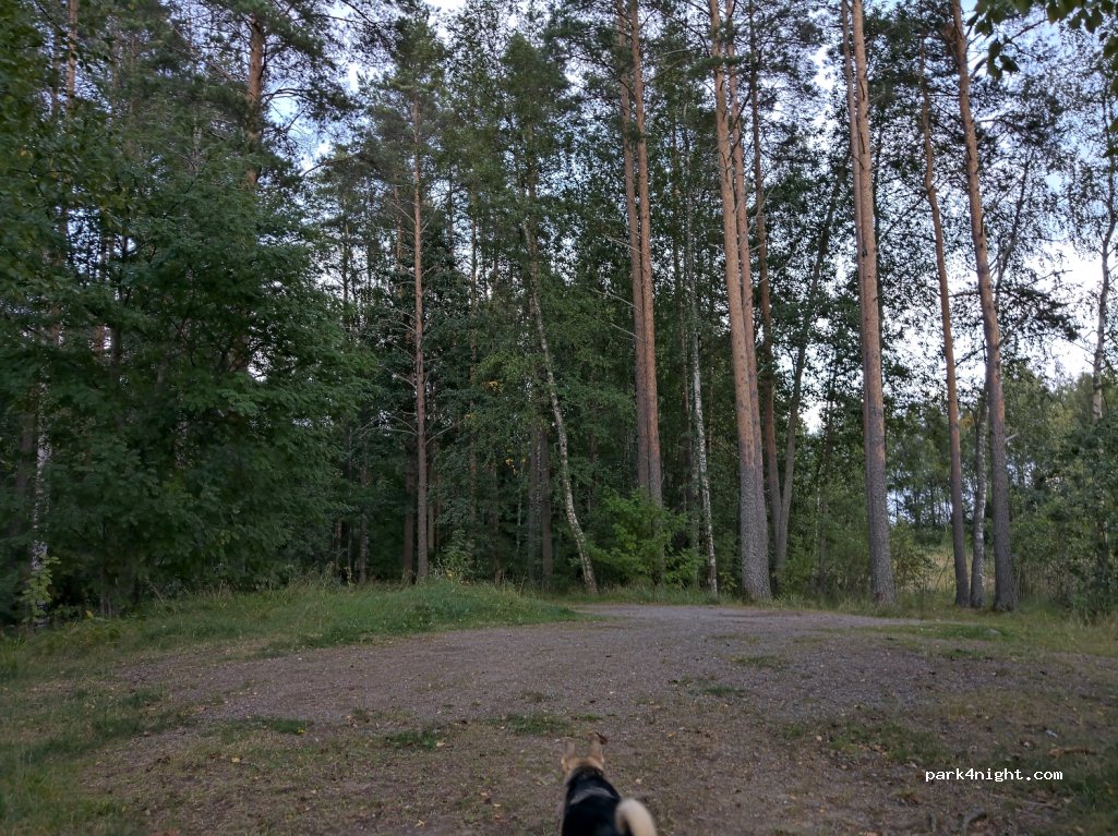 (58200) Savonlinna - 56 Luulahdentie — foto 4