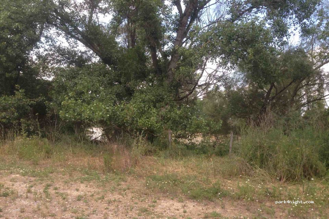 (31330) Villafranca - Unnamed Road — foto