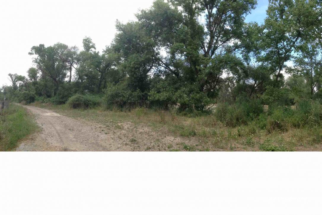 (31330) Villafranca - Unnamed Road — foto 2