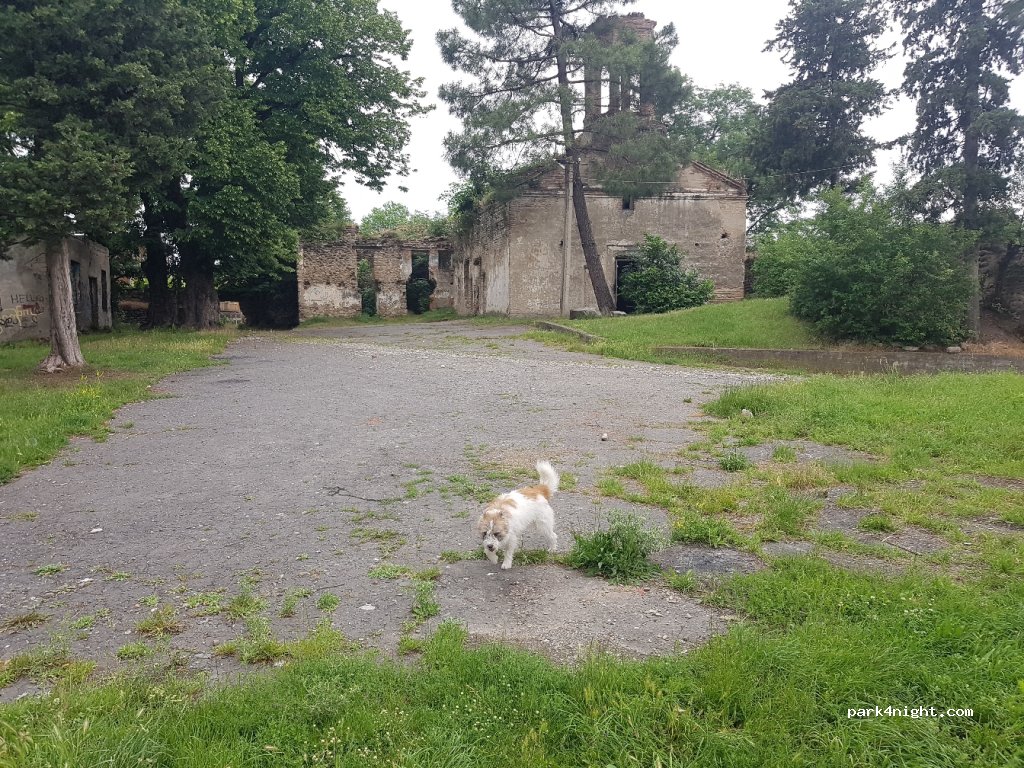 (2200) Telavi - შ42 — foto 3