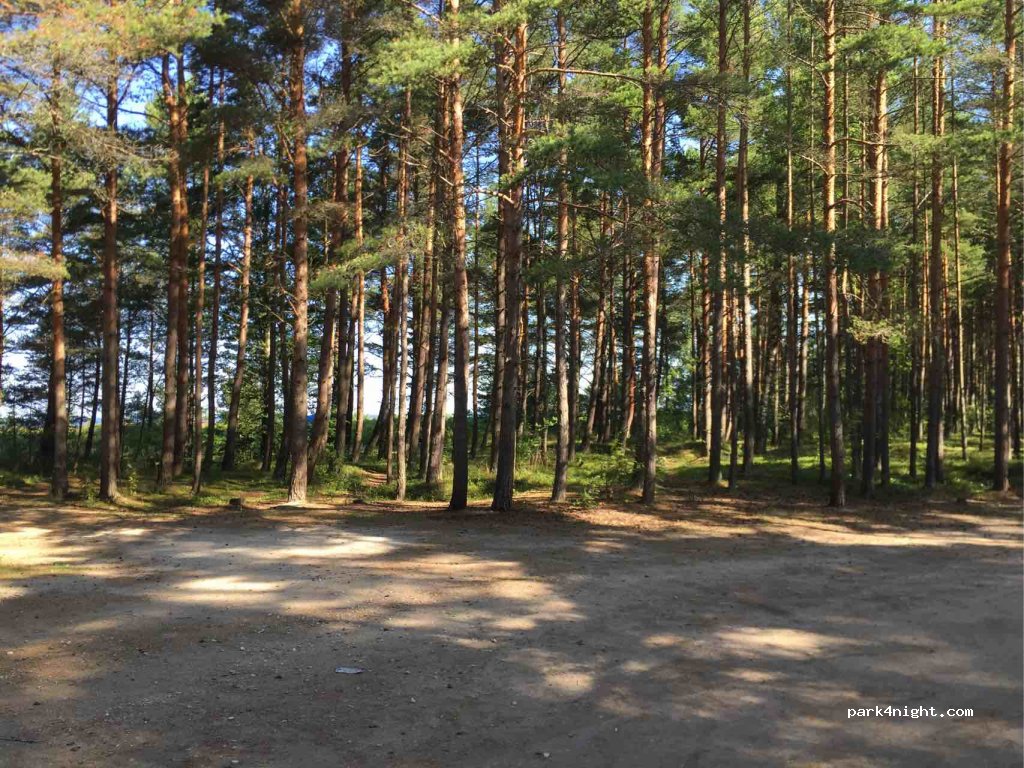 (76705) Meremõisa - — foto 2