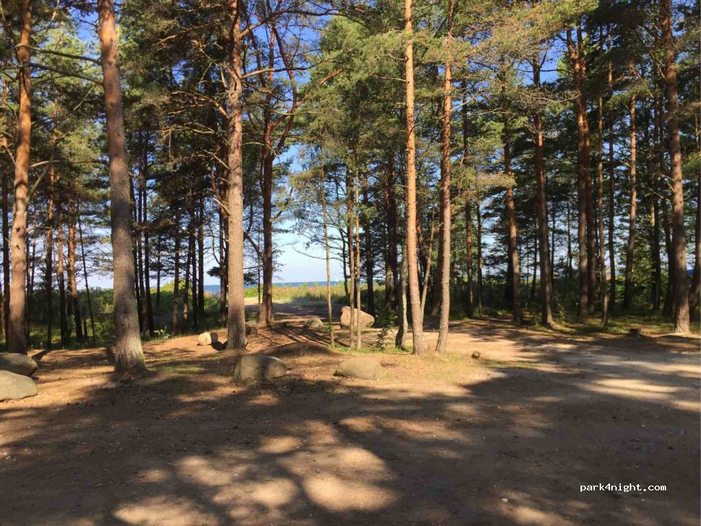 (76705) Meremõisa - — foto 3