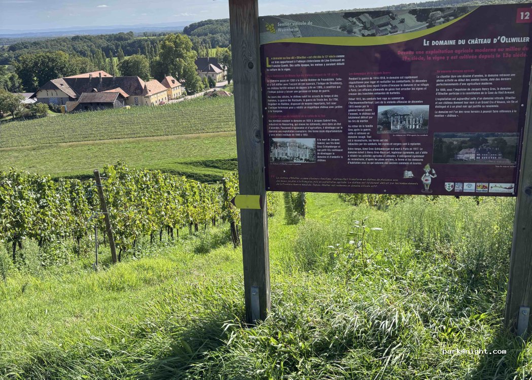 La Cave du Vieil Armand — foto 4