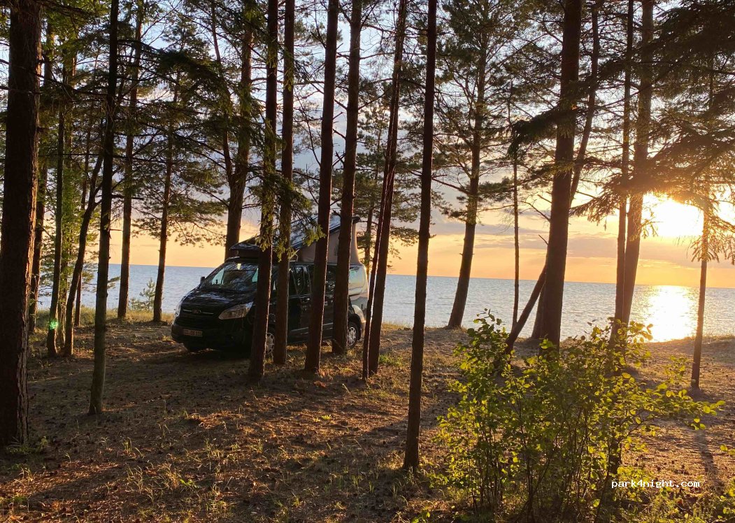 (86003) Treimani - Rannametsa-Ikla — foto
