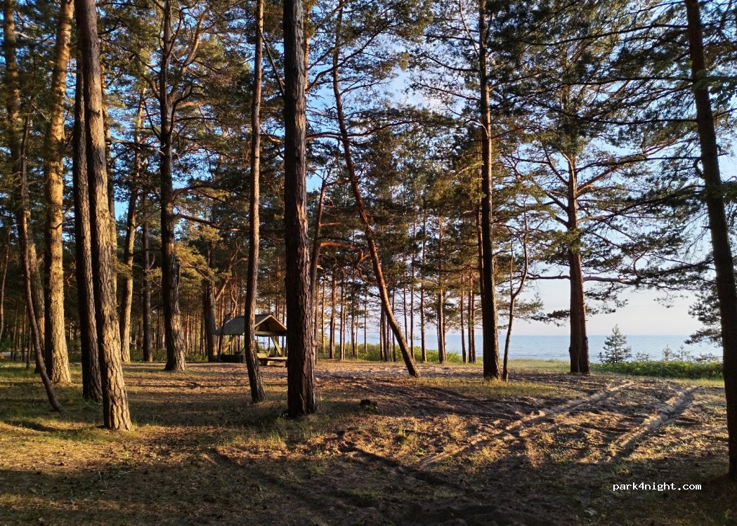 (86003) Treimani - Rannametsa-Ikla — foto 4