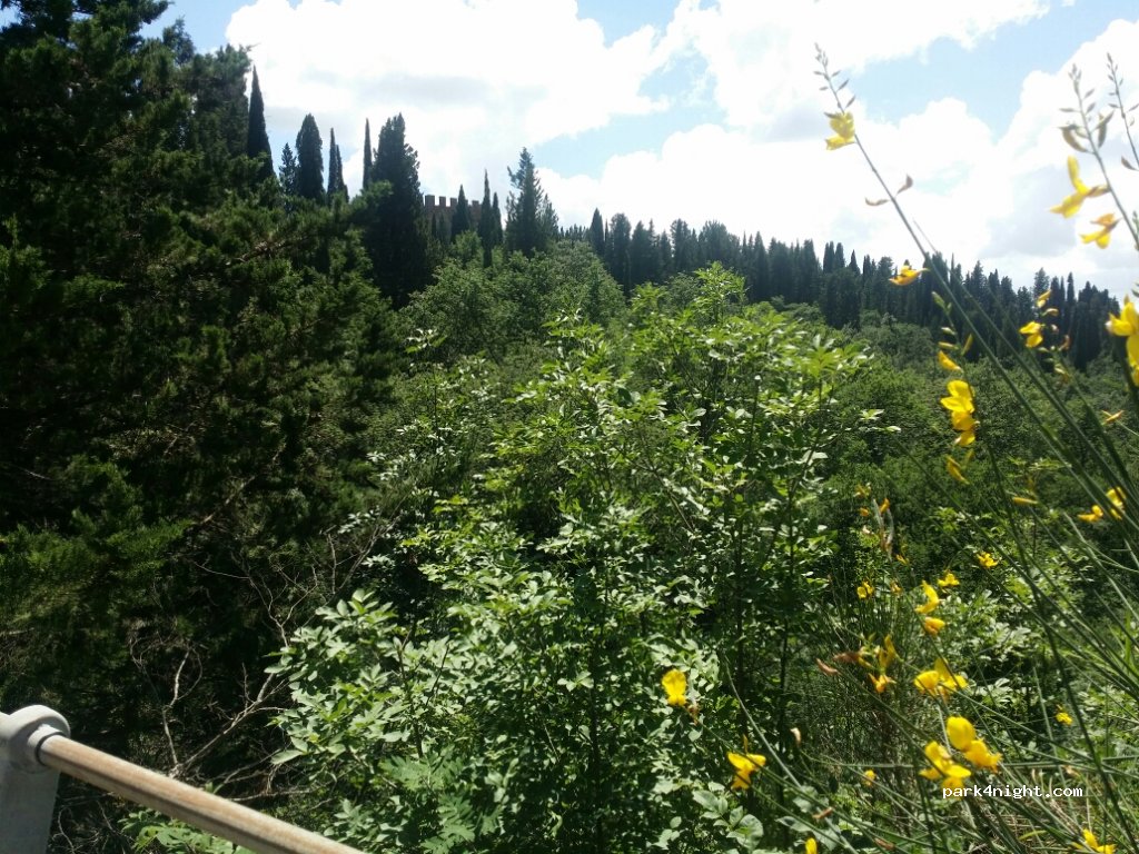 (53041) Asciano - 113 Strada Provinciale 451 — foto