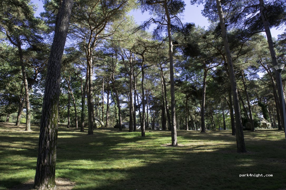 Camping Domaine de la Pinède — foto 3