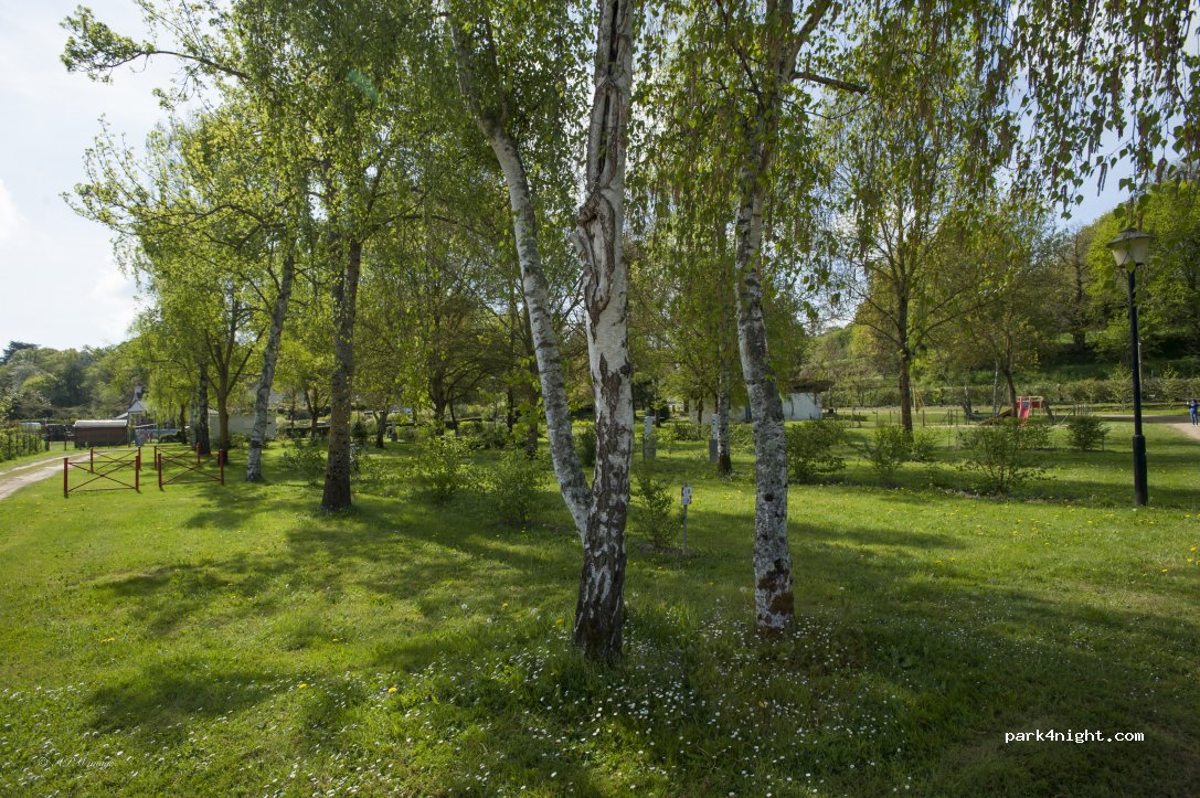 Camping municipal Bac de Pruillé — foto 2