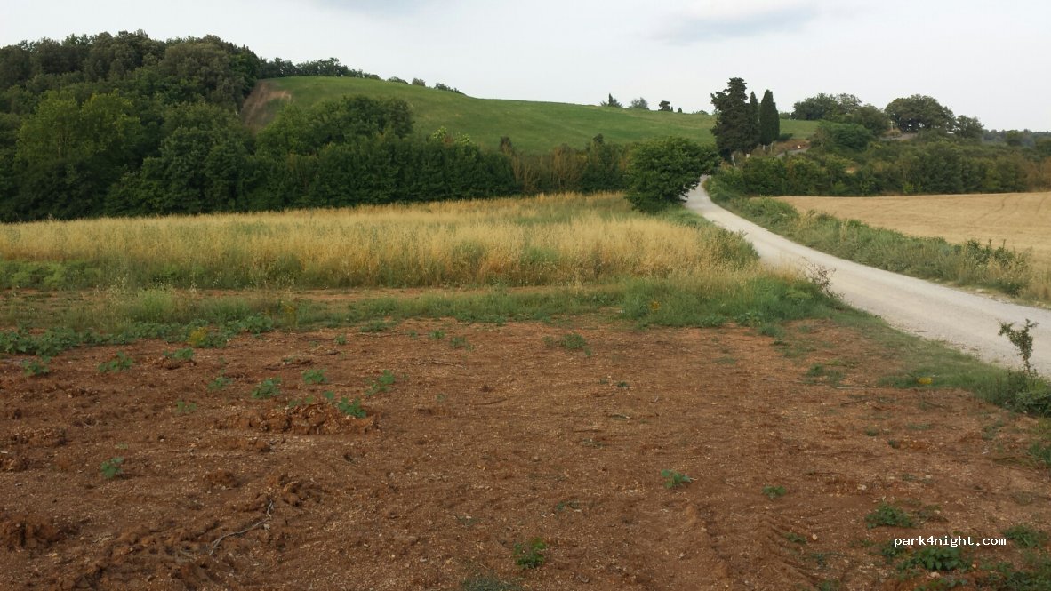 (53035) Monteriggioni - Strada dell'Uccellatoio — foto 2