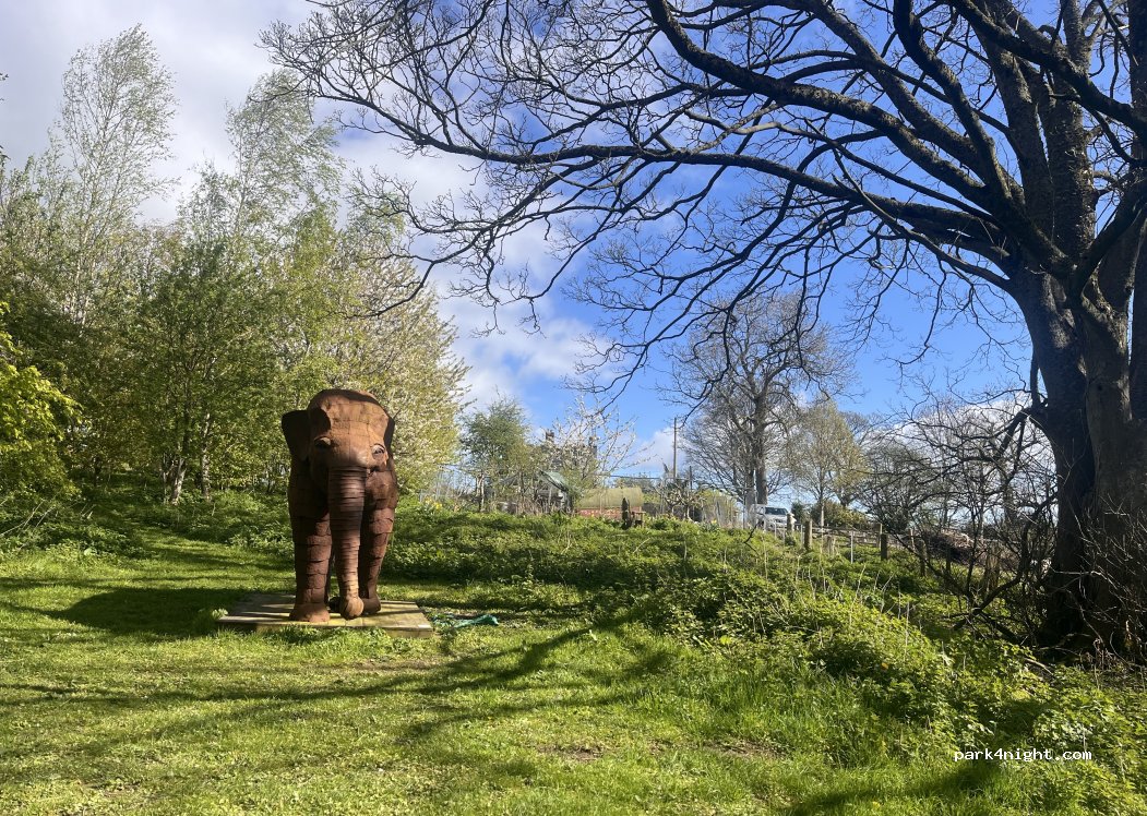 Foxholes Castle Camping — foto 4