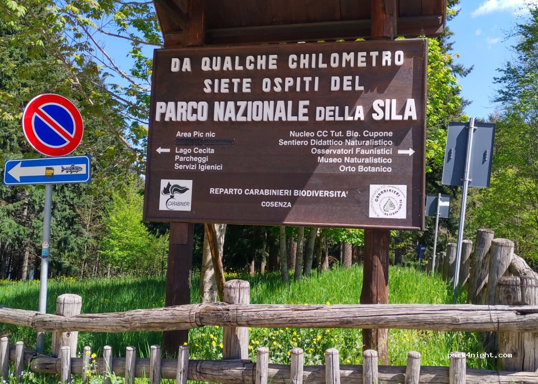 (87058) Spezzano della Sila - Strada Statale 177 — foto