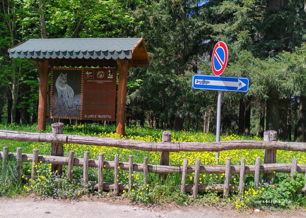 (87058) Spezzano della Sila - Strada Statale 177 — foto 2