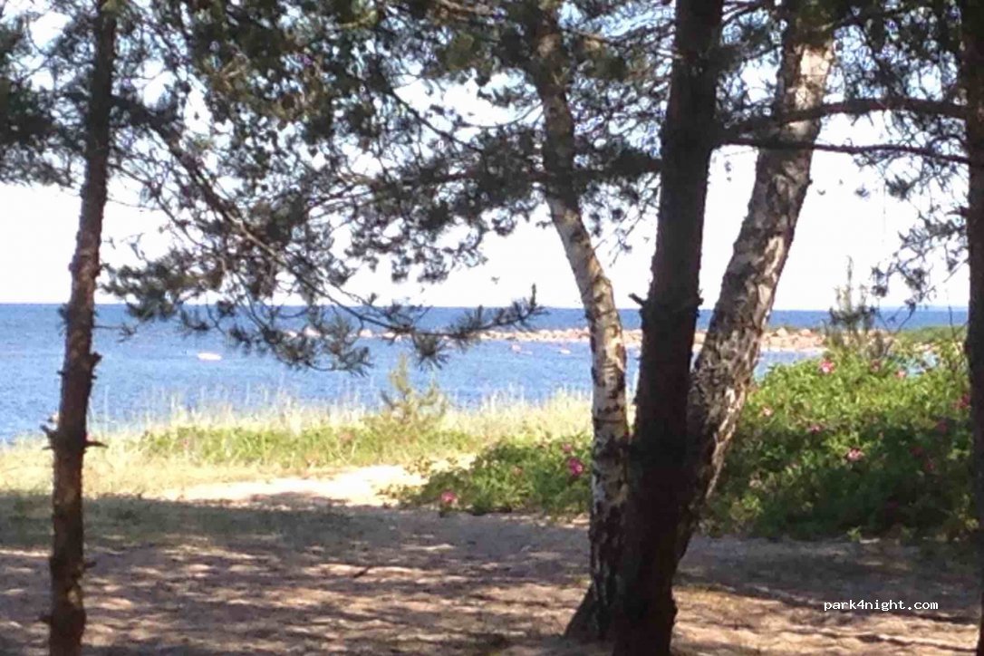 (76705) Harju maakond - Tallinn-Rannamõisa-Kloogaranna — foto 3