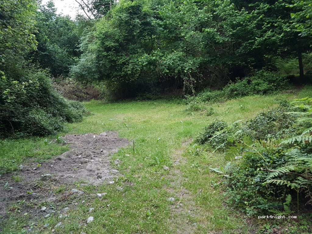 (20229) Piedicroce - 16 D506 — foto