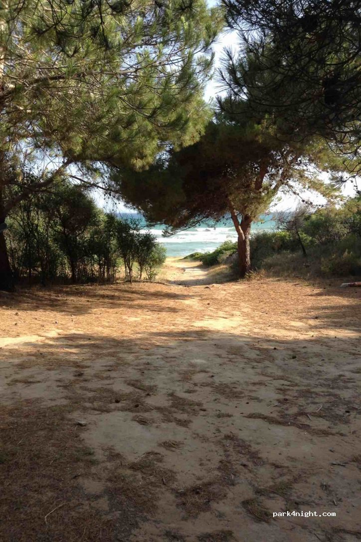 Another Beach — foto 2