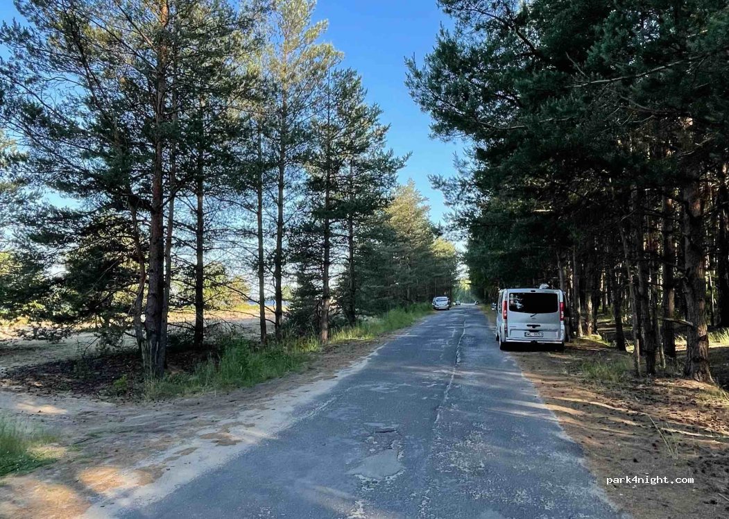 (42-360) Masłońskie - Droga Wojewódzka 791 — foto 2