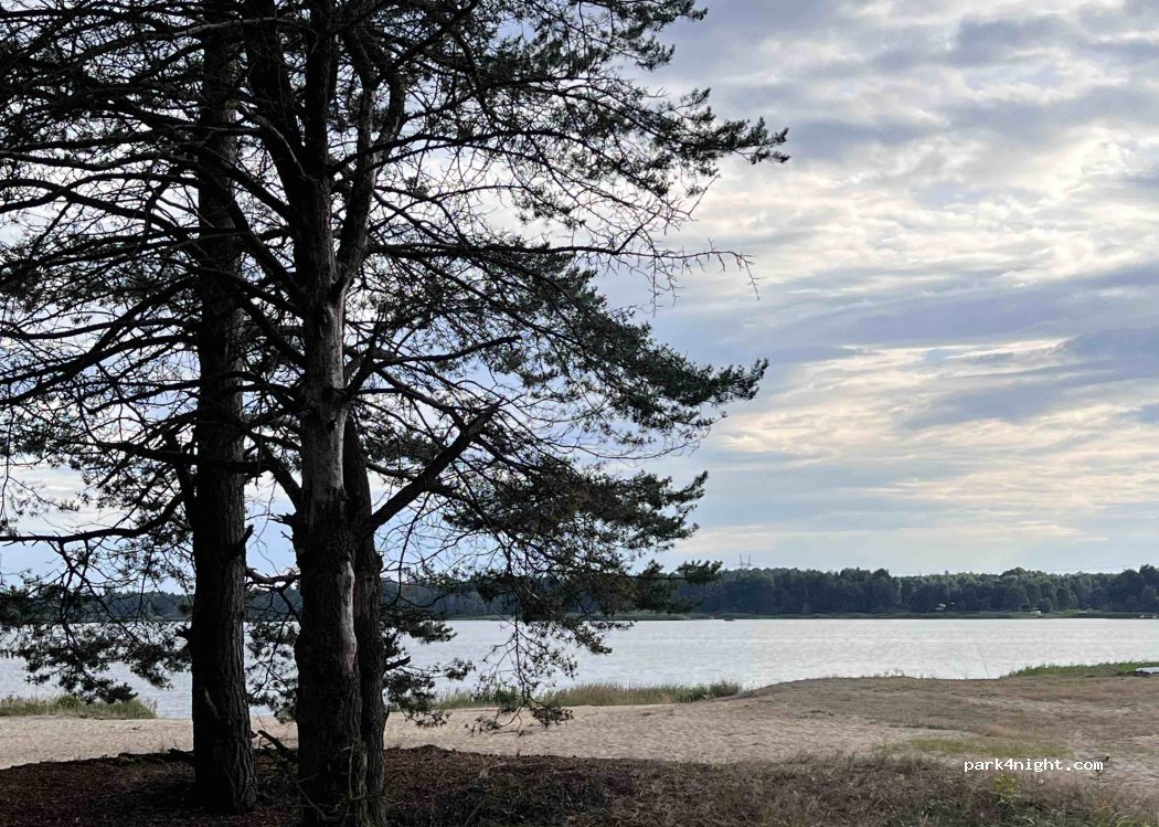 (42-360) Masłońskie - Droga Wojewódzka 791 — foto 5