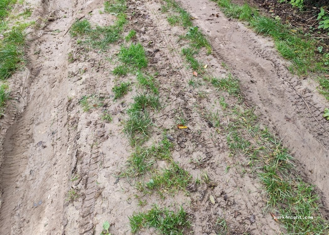 (77910) Germigny-l'Évêque - 40 Sentier des Brise Beches — foto 3