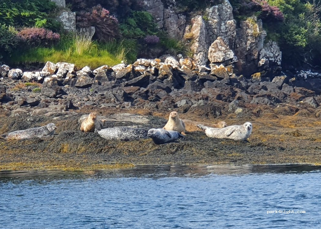 (IV55 8WE) Isle of Skye - A850 — foto 2
