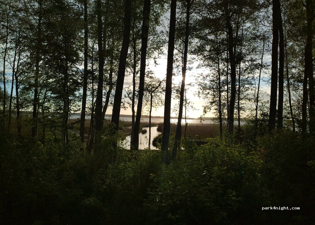 (3319) Rendas pagasts - Unnamed Road — foto 5