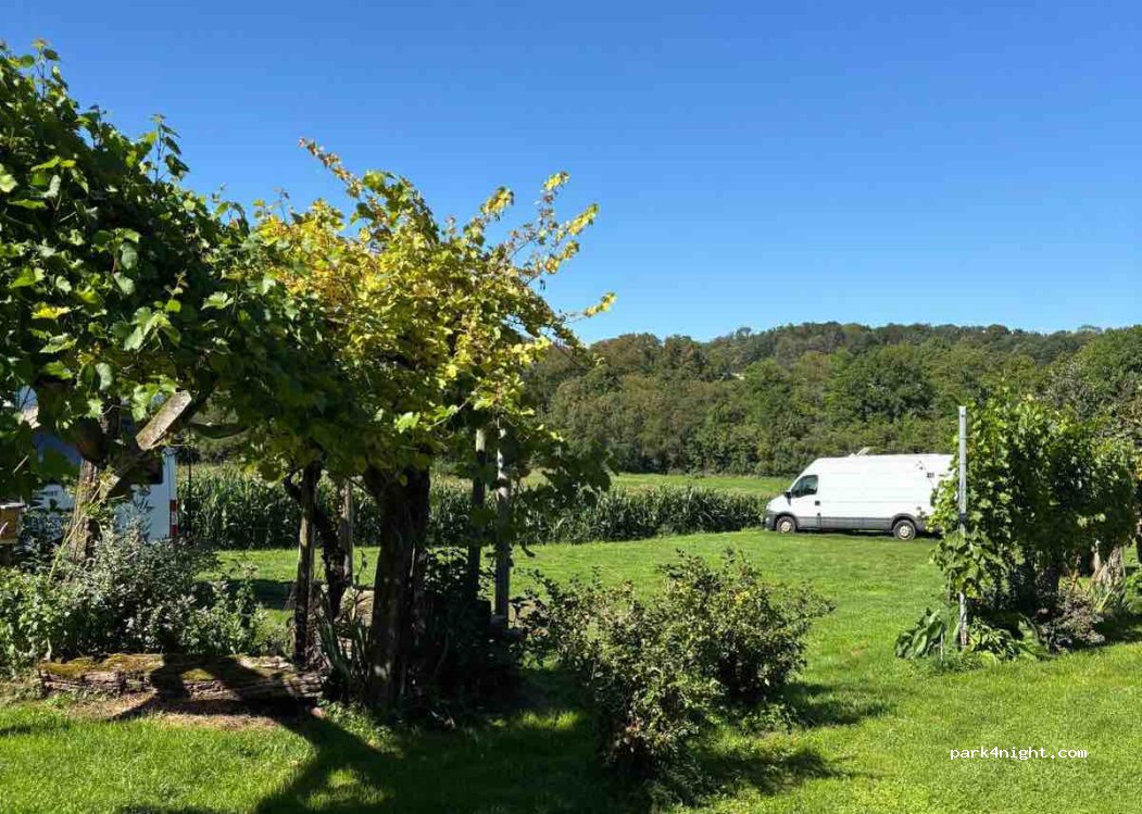 Römerhof Schmalzhaf — foto 3
