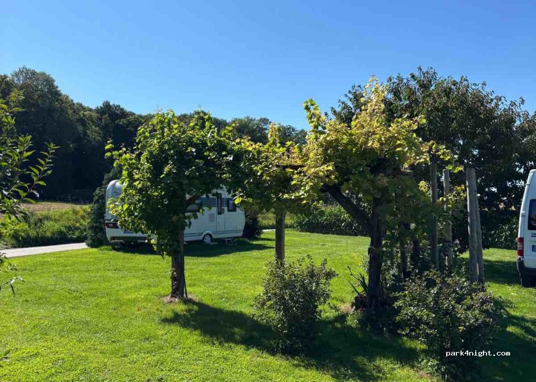 Römerhof Schmalzhaf — foto 4